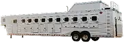 Type Img